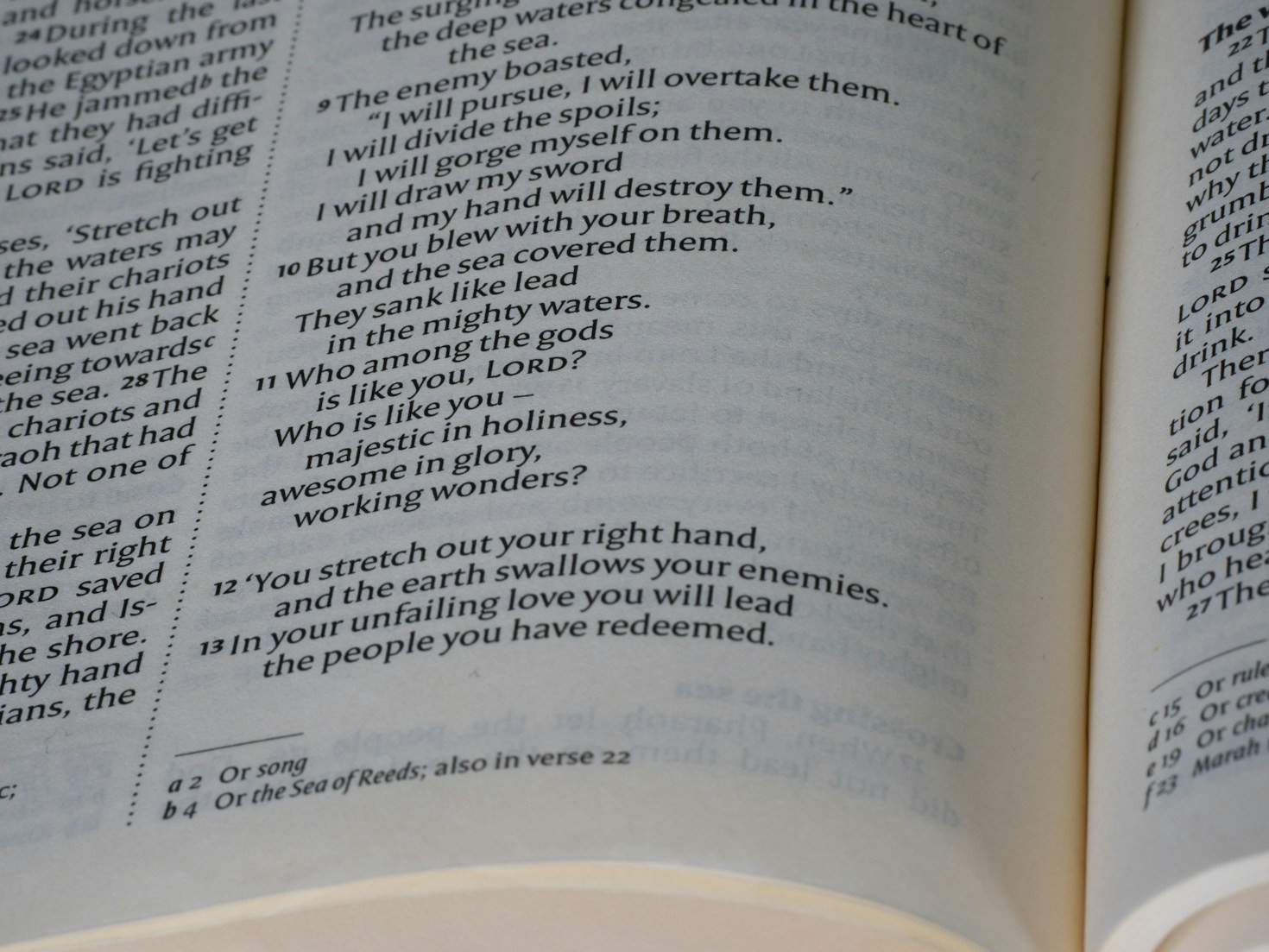 5 Reasons to Start Learning the Quran Today